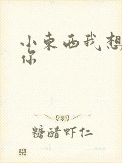 小东西我想弄坏你