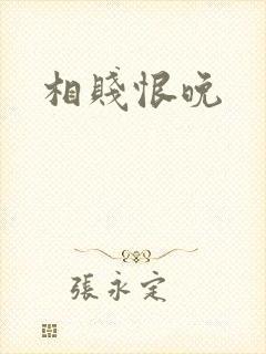 相贱恨晚封面