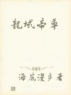龙域帝尊封面