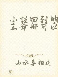 小说回到明朝当王爷哪可以找到