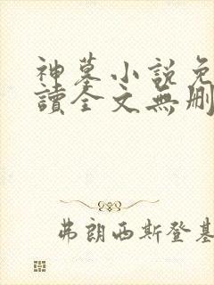 神墓小说免费阅读全文无删减