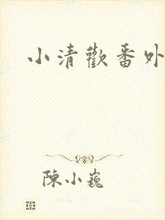 小清欢番外封面