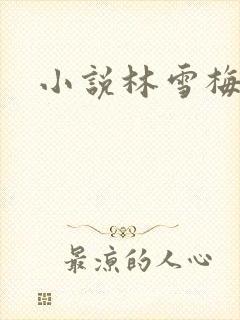 小说林雪梅