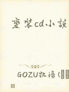 变装cd小说