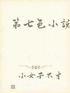 第七色小说封面