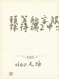 头等舱客服的特殊待遇2中字