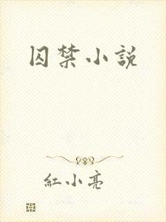 囚禁小说封面
