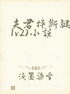 夫君摔断腿后(1v2)小说