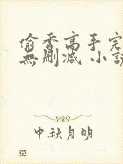 偷香高手完整版无删减 小说