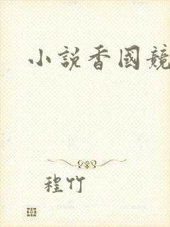 小说香国竞艳