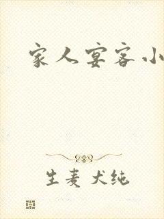 家人宴客小说封面
