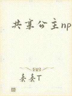 共享公主npc