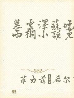 慕云泽苏晚晴夏雨桐小说免费阅读