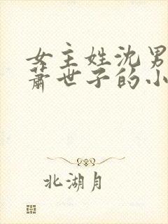 女主姓沈男主姓萧世子的小说封面