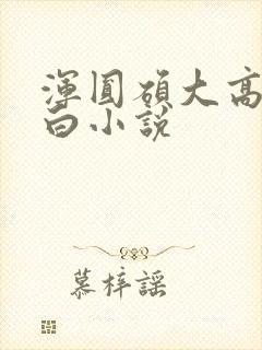 浑圆硕大高耸雪白小说