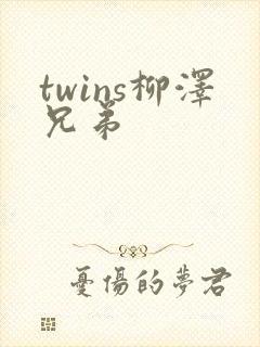 twins柳泽兄弟