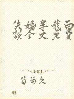 失婚半截白菜小说全文免费阅读封面