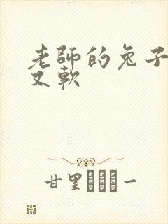 老师的兔子又大又软