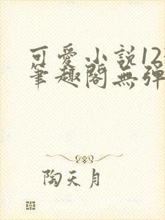 可爱小说123笔趣阁无弹窗