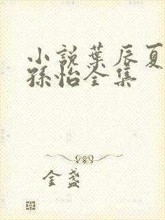 小说叶辰夏若雪孙怡全集