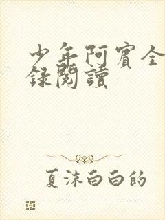 少年阿宾全文目录阅读