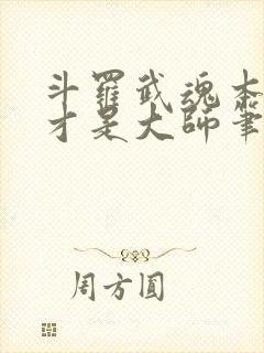 斗罗武魂本体我才是大师笔趣阁封面