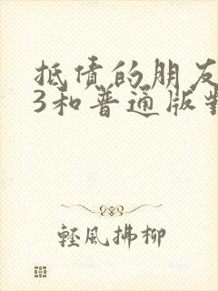 抵债的朋友麦子3和普通版对比