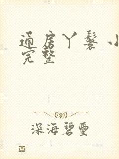 通房丫鬟 小说完整