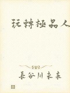 玩转极品人生封面