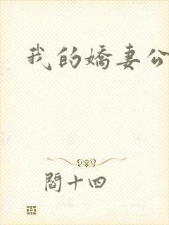 我的娇妻公务员