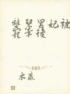 双儿男妃被皇上宠幸后