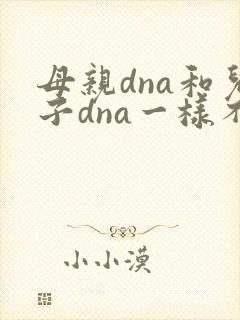 母亲dna和儿子dna一样不