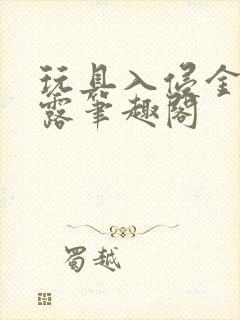 玩具入侵金银花露笔趣阁