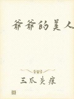 爷爷的美人封面