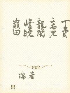 巅峰龙主丁长顺田晓兰免费阅读