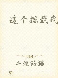 这个总裁我要了