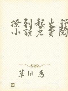 撩到起火舒漾的小说免费阅读全文