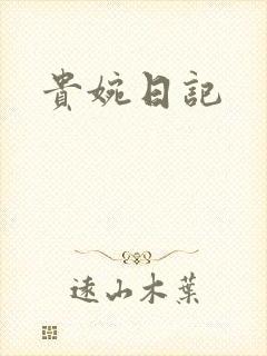 贵婉日记
