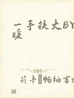 一手扶大BY泱暖封面