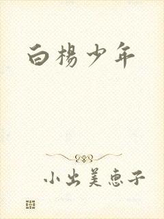 白杨少年