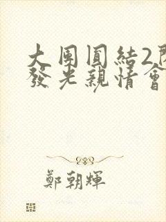 大团圆结2闪闪发光亲情会