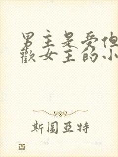 男主是受但是喜欢女主的小说