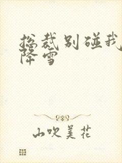 总裁别碰我 韩降雪