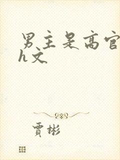 男主是高官的肉h文