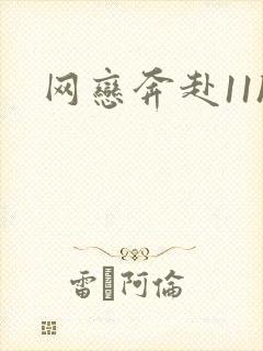 网恋奔赴11h封面