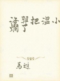 洛羿把温小辉做烂了