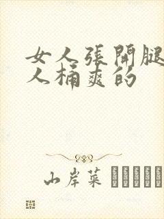 女人张开腿让男人桶爽的