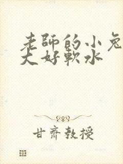 老师的小兔子好大好软水
