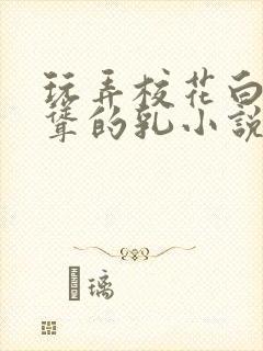 玩弄校花白嫩高耸的乳小说