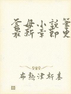 套母小说笔趣阁最新章节更新时间封面